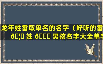 龙年姓雷取单名的名字（好听的雷 🦊 姓 🐎 男孩名字大全单字）